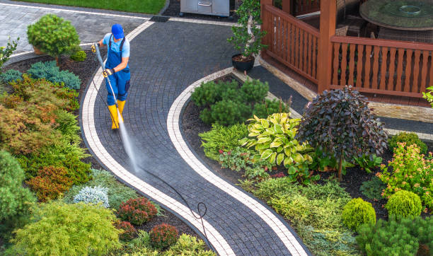 Best Pressure Washing Near Me  in Norwood, NJ